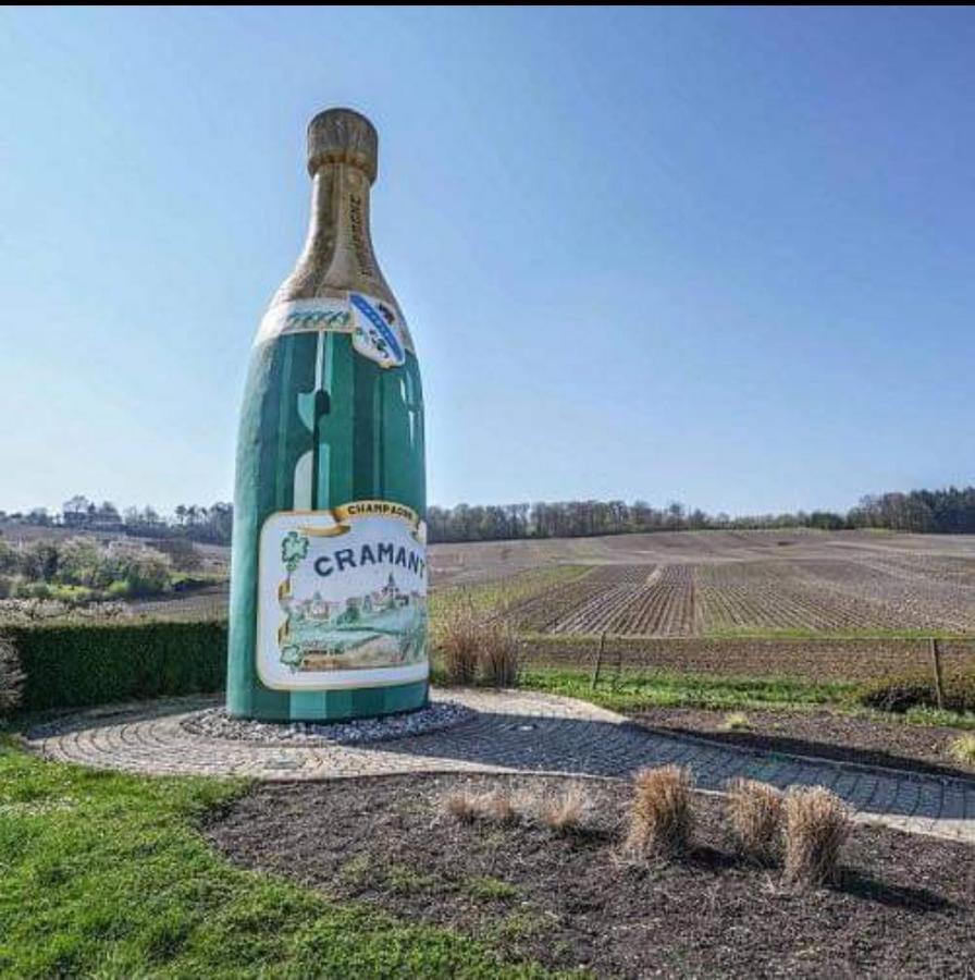 Gite En Champagne Le Sarment Cramant Экстерьер фото
