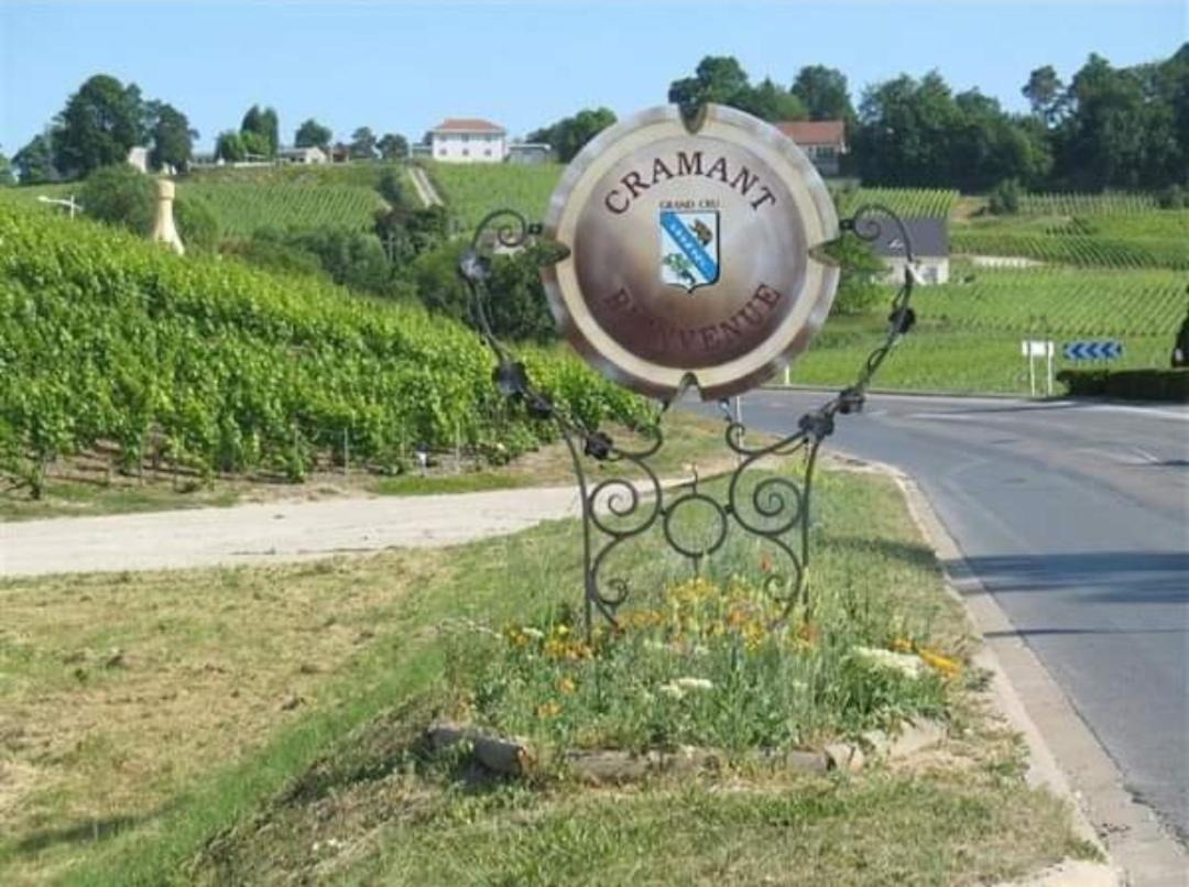Gite En Champagne Le Sarment Cramant Экстерьер фото