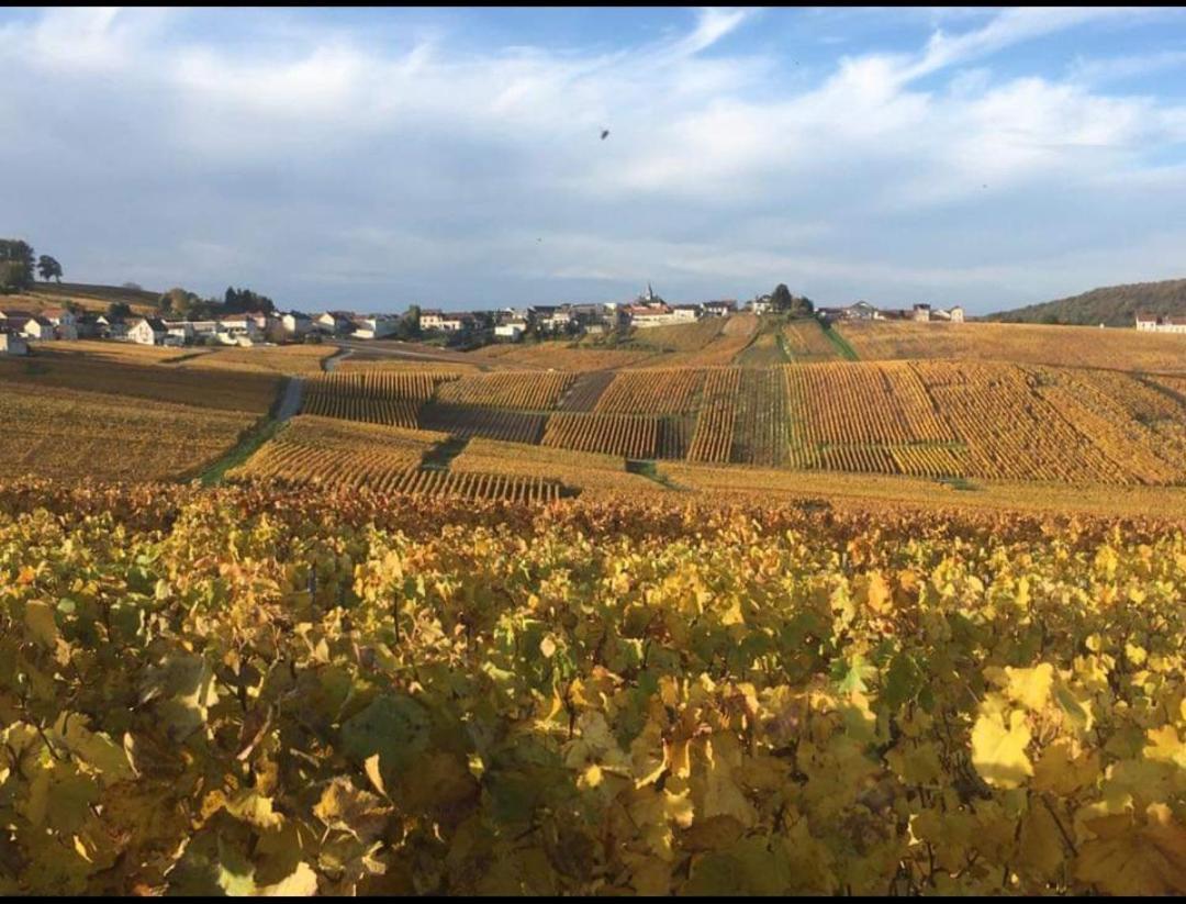 Gite En Champagne Le Sarment Cramant Экстерьер фото